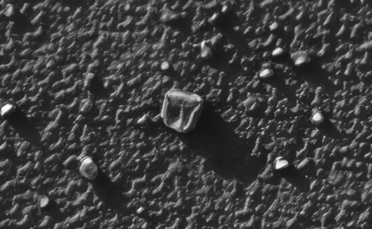 Click for larger image at actual size 1:1 scale