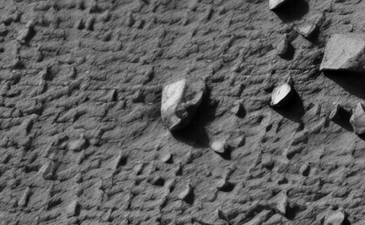 Click for larger image at actual size 1:1 scale