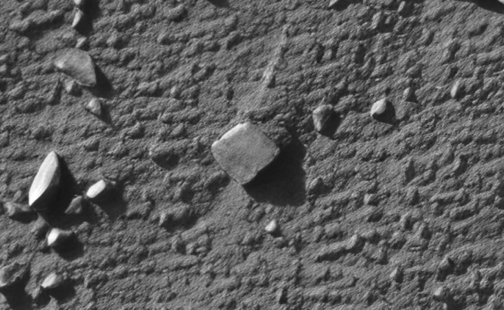 Click for larger image at actual size 1:1 scale