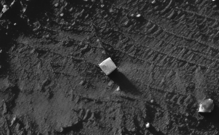 Click for larger image at actual size 1:1 scale