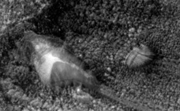 Derelict crashed disc-like craft inside of Martian crater