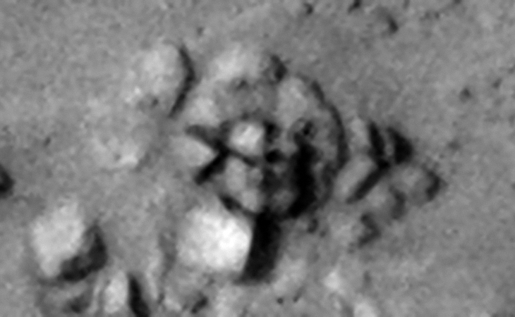 A close-up of a circular arrangement of megalithic blocks near the wall or foundation