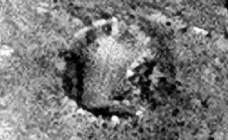 Madagascar-type razor-sharp limestone formations?