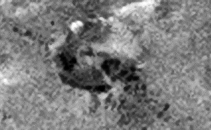 Building with a terrace and pillars, or perhaps pipes and bridge leading to more tech-debris?