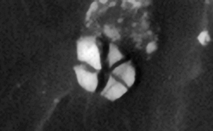 Click for original image at 1:1 scale