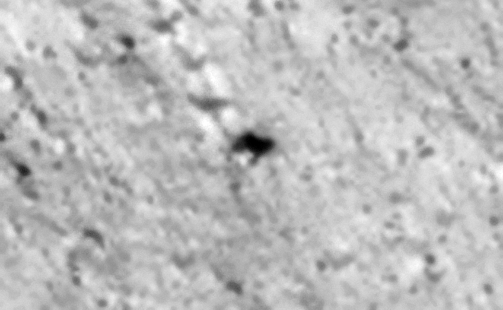 Boulder or Vehicle? The track runs over an outcrop of rock, direction does not change; furthermore it travels diagonally across the steep incline of the crater wall