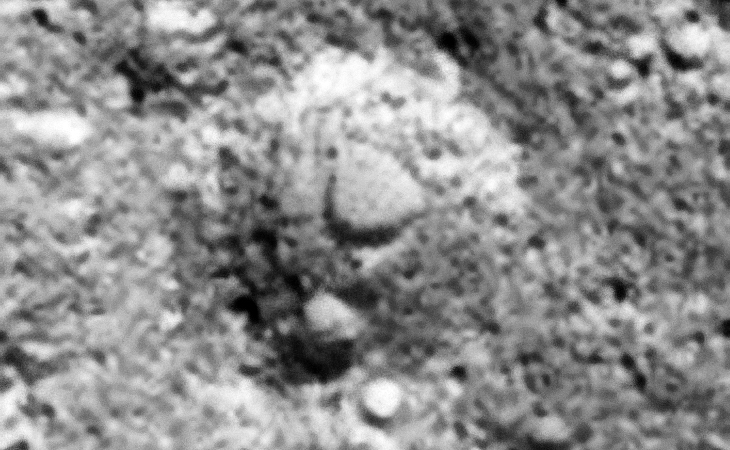 Open-pit mining quarry, Hangar/Underground Entrance, Crater/Pit? The crescent-shaped area inside the crater/pit looks geometric, also there appears to be some type of debris or machinery towards the bottom of the crater/pit rim
