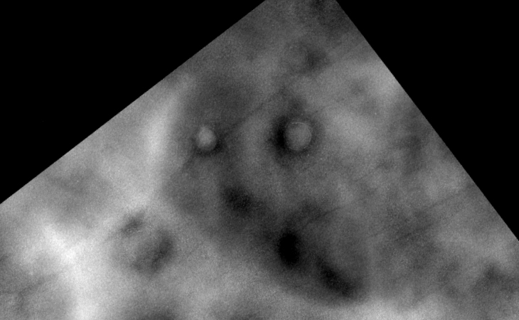 Bottom feature turn anti-clockwise - seen are what look like an animal face with two ears, eyes and the snout