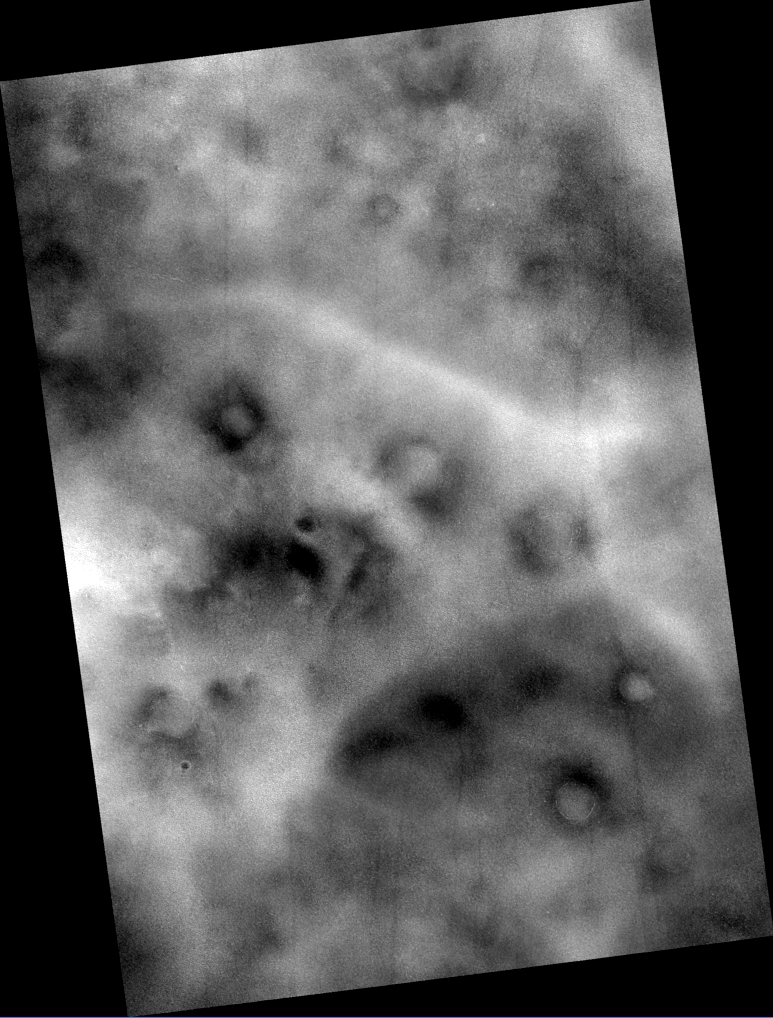 'Animal Art' form on Martian surface