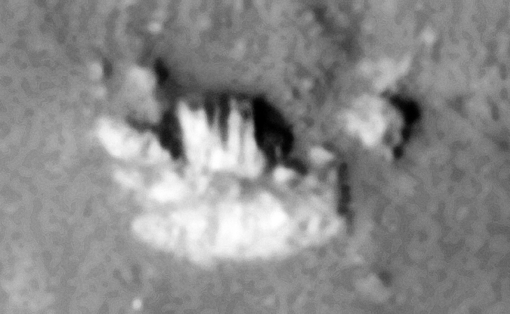 Object with parallel slots and grooves cut into it