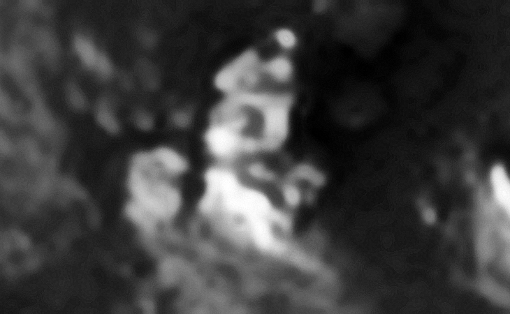 Some type of machine or technology? There seems to be a smaller dome-like features on the top of the larger rectangular metallic-looking parts. The 'metal' looks bent