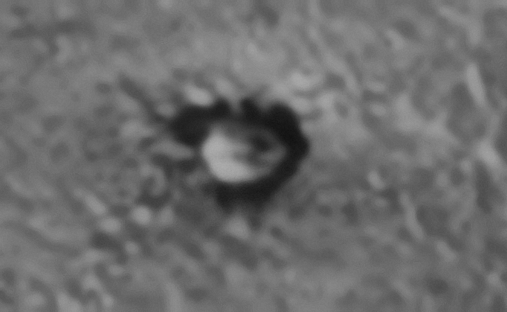 Small disc-shaped object with smaller dome in the center
