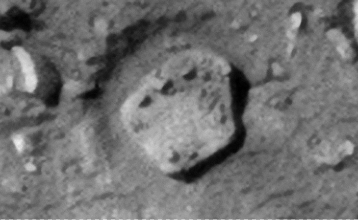 Click for original image at 1:1 scale