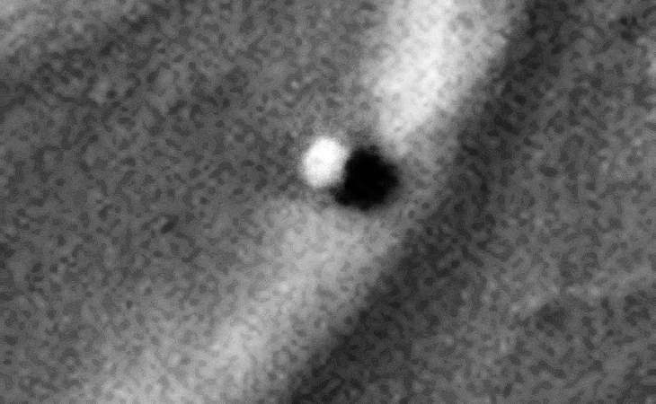 Sphere-Shaped Object slightly elevated above the ground or Boulder?