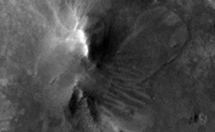 Open-pit mining quarry and graded area? Could that be a circular wall to the right?