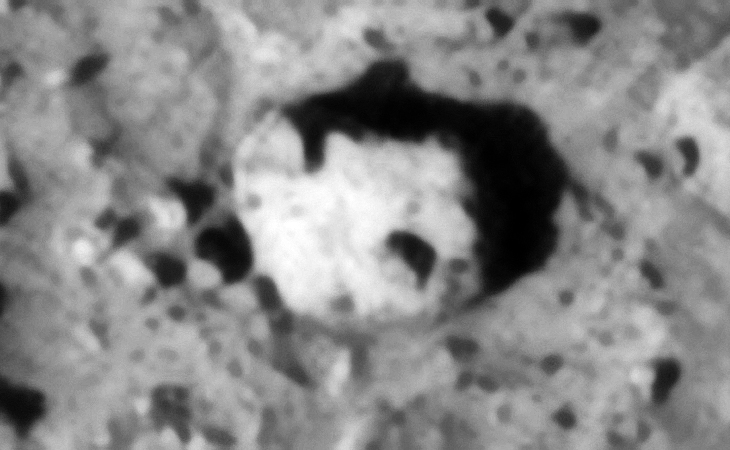 Eroded megalithic block or metallic object? Note the triangular feature or knob on the side