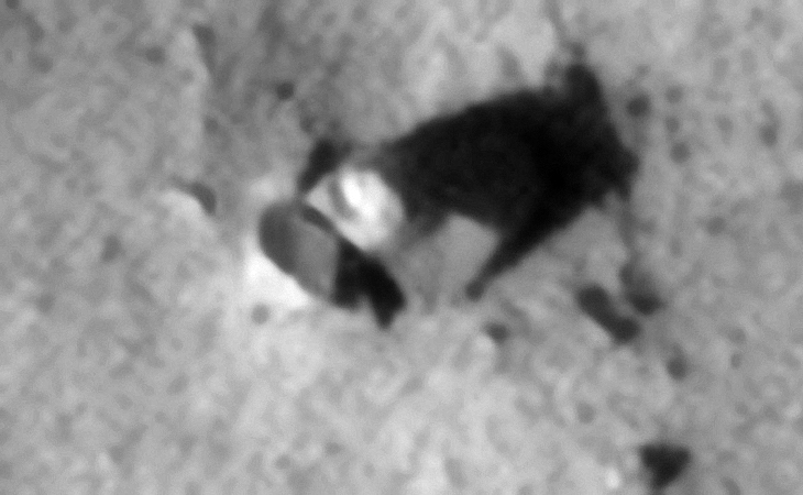 Megalithic blocks or machinery? The object to the left is shaped like a toilet seat and a saucer-shaped object can be seen to the right