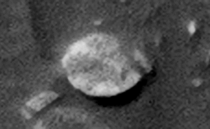 Click for original image at 1:1 scale