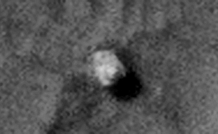 Click for original image at 1:1 scale