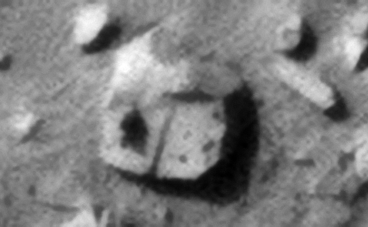 Click for original image at 1:1 scale