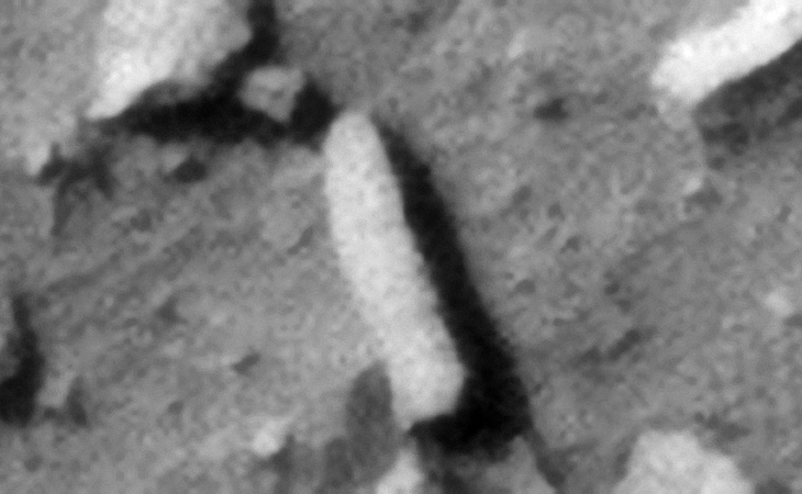 Click for original image at 1:1 scale