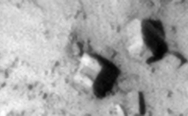 Click for original image at 1:1 scale