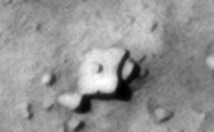 Original image at 1:1 scale