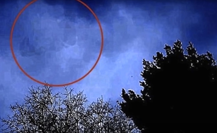 Pumpkin Seed craft outline