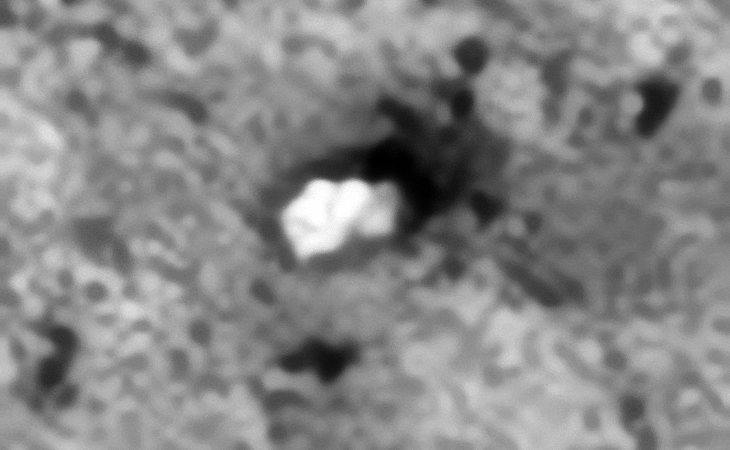 Mangled rectangular object