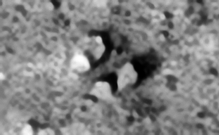 Square structure consisting of what looks like metallic plates and debris