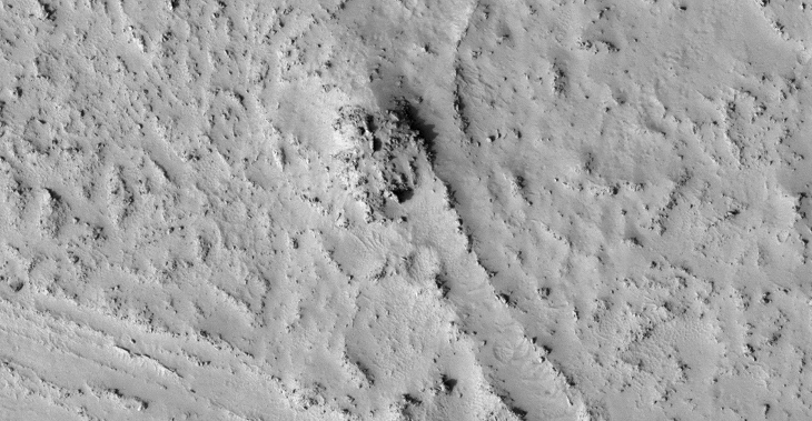 Original image at 1:1 scale