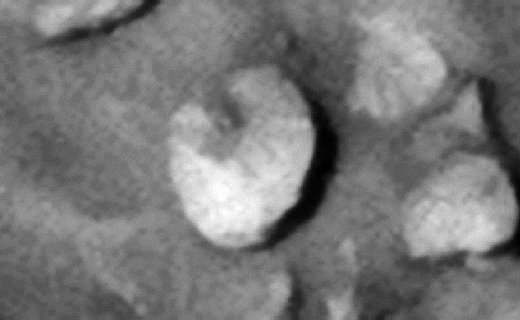 Click for original image at 1:1 scale