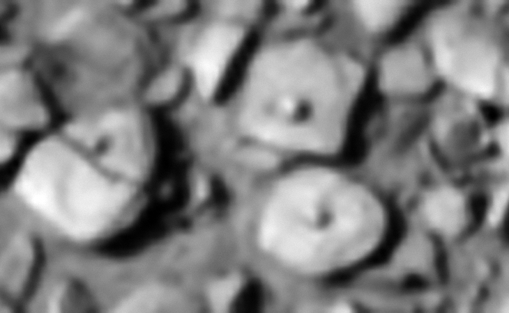 Click for original image at 1:1 scale