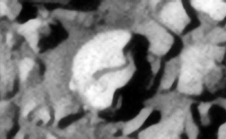 Click for original image at 1:1 scale