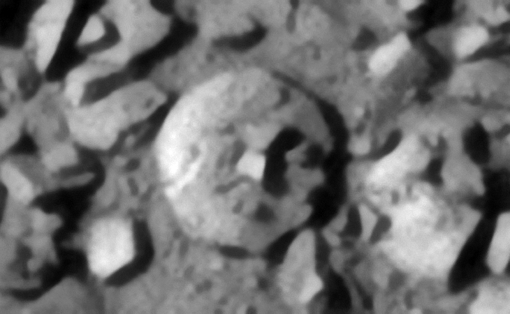 Click for original image at 1:1 scale