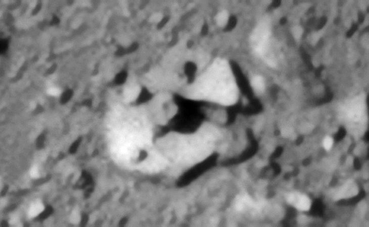 Click for original image at 1:1 scale