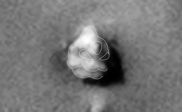 'Reptilian-like' alien head sculpture - outlined