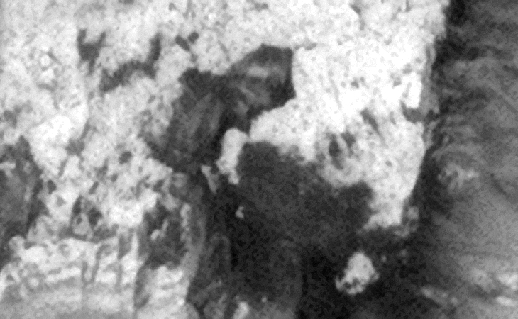 Black 'tarp-like' material spread out over the surface?