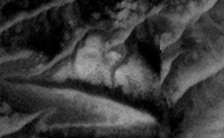 Oblong dome-like structure with dark 'plant roots' running over the top and perhaps a pyramidal structure to the top right of the dome?