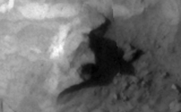 Convex, crescent-shaped underground entrance-way with debris scattered around?
