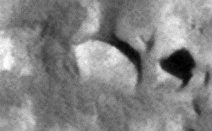 Click for original image at 1:1 scale
