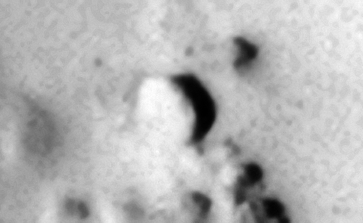 Disc-like object partially buried in sand