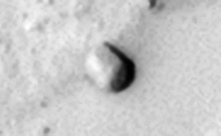 Rounded metallic-looking rectangular object