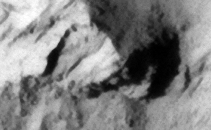 An underground entrance-way or perhaps a metal plates