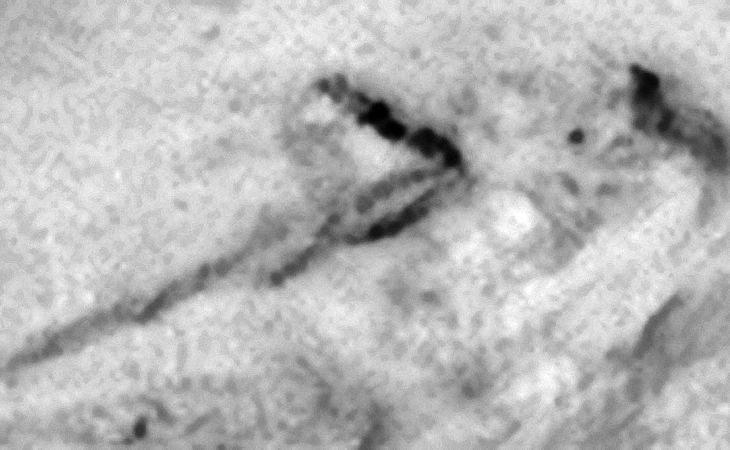 Underground entrance-way, smashed metal plate or debris from a crashed craft, there seems to be an impact trench towards the left of the object