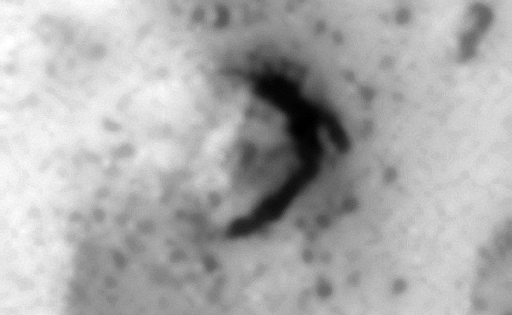 A metallic-looking plate with a small dome on top