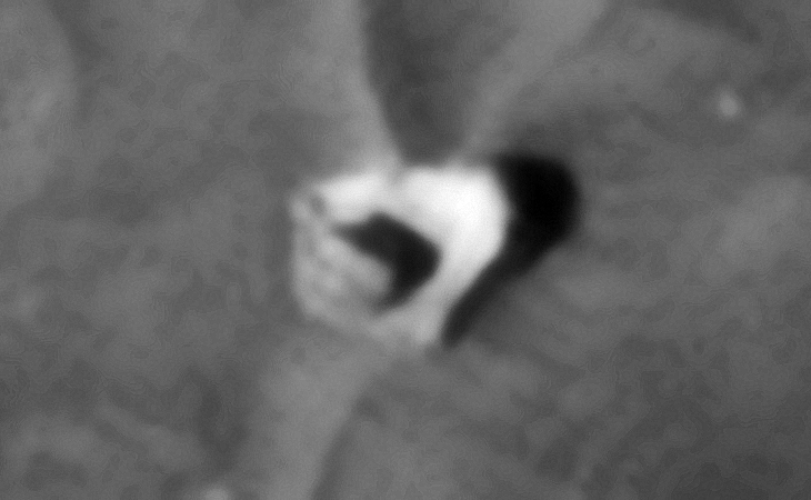 Click for original image at 1:1 scale