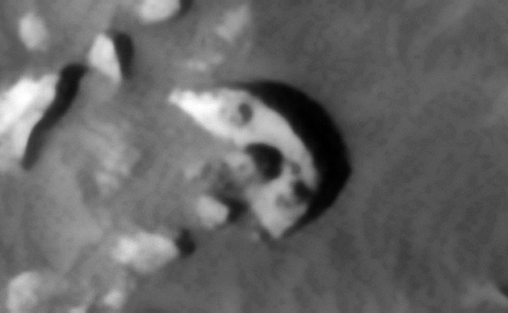 Click for original image at 1:1 scale