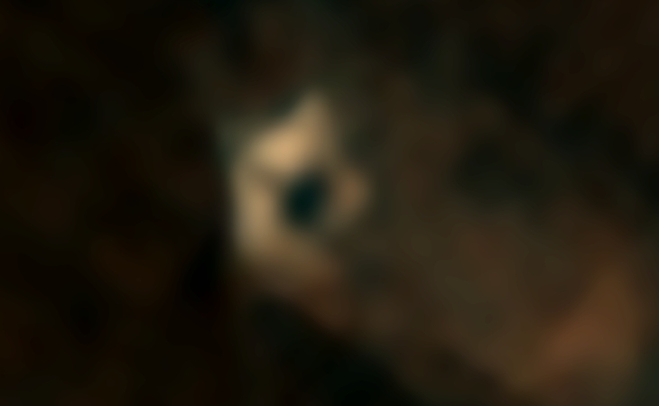 'Astronaut' and other technology spotted on Mars? - Astronaut or humanoid-type robot